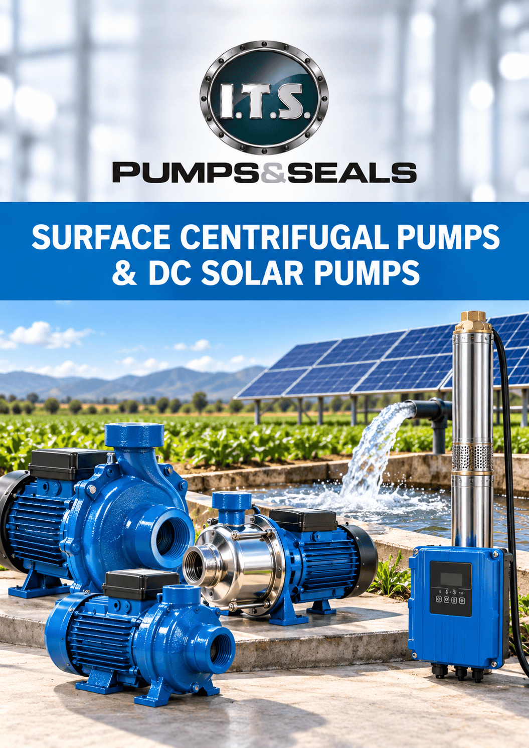 Centrifugal Pumps Centrifugal Pumps